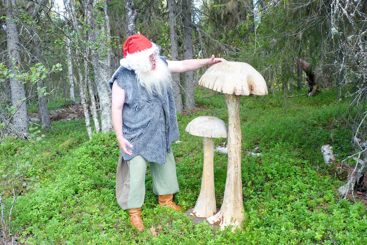 Elves Village Hotel Köngäs Bagian luar foto